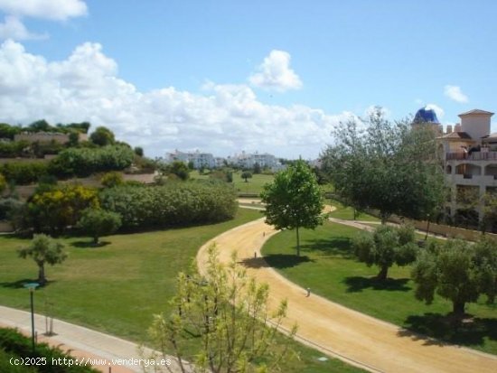  Piso en alquiler en Rota (Cádiz) 