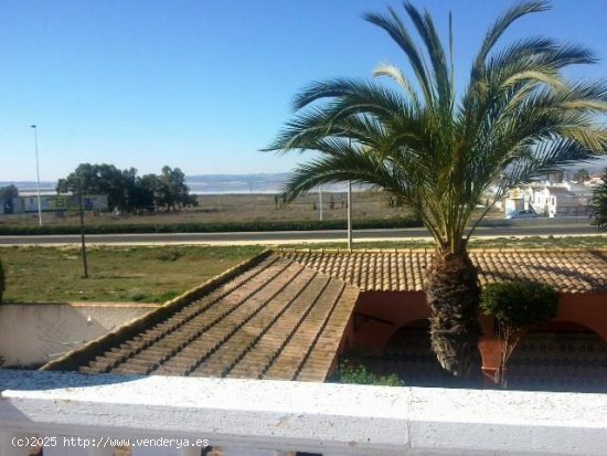 Chalet en venta en Torrevieja (Alicante)