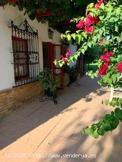 MARAVILLOSA ANTIGUA FINCA DE CACERIA EN LA JARA EN SANLUCAR DE BARRMEDA - CADIZ