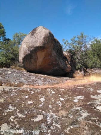  Solar en venta en Ortigosa del Monte (Segovia) 