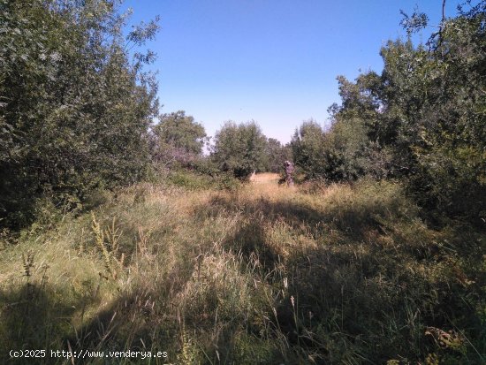 Solar en venta en Ortigosa del Monte (Segovia)