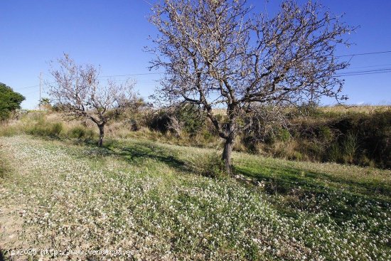 Solar en venta en Benissa (Alicante)