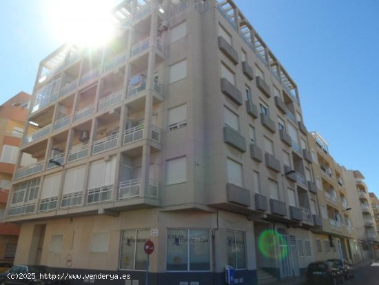 Apartamento en venta en Torrevieja (Alicante)