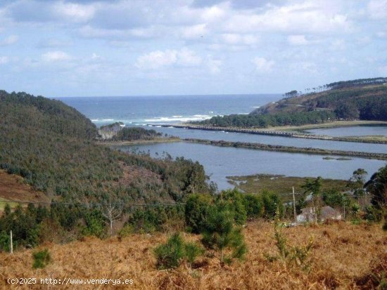  Parcela en venta en Coaña (Asturias) 