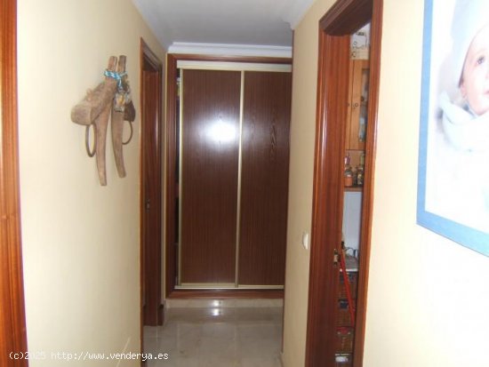 Piso en venta en Mijas (Málaga)