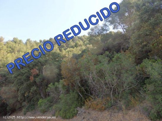  Finca en venta en L Aleixar (Tarragona) 