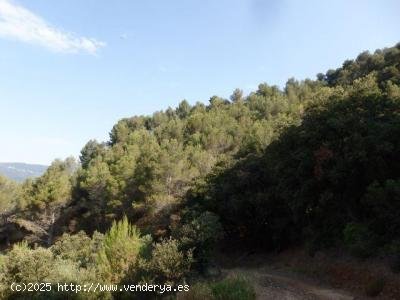 Finca en venta en L Aleixar (Tarragona)