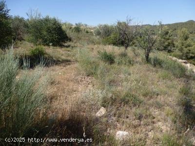 Finca en venta en El Masroig (Tarragona)