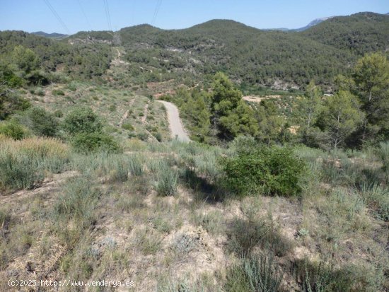 Finca en venta en El Masroig (Tarragona)