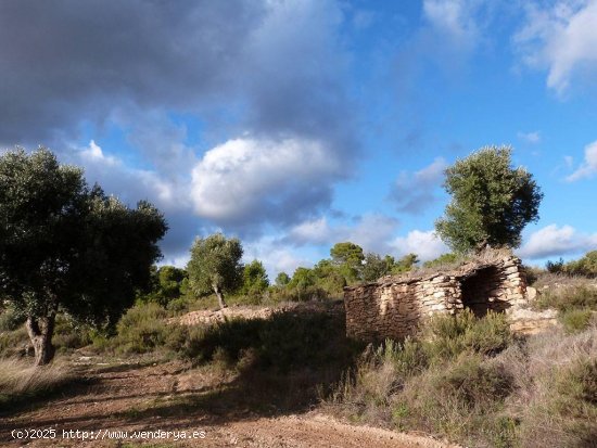  Finca en venta en Valjunquera (Teruel) 