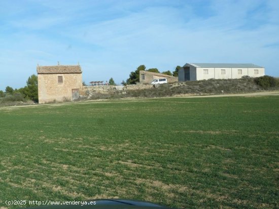  Finca en venta en Torre del Compte (Teruel) 