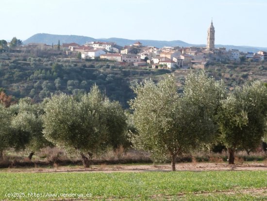 Finca en venta en Torre del Compte (Teruel)