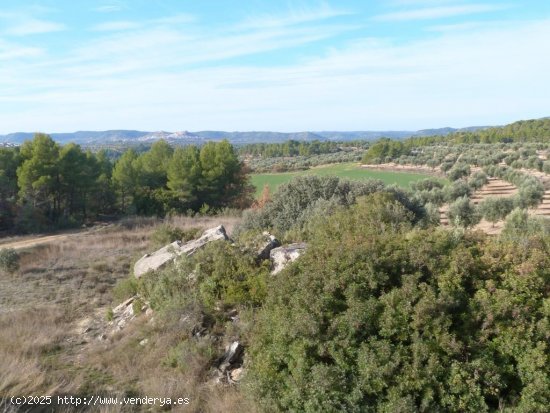 Finca en venta en Torre del Compte (Teruel)