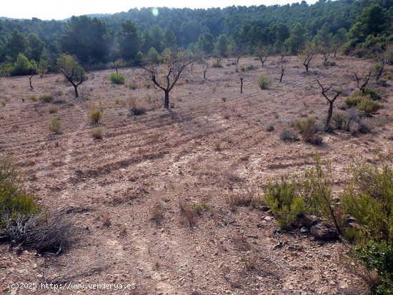 Finca en venta en Mazaleón (Teruel)