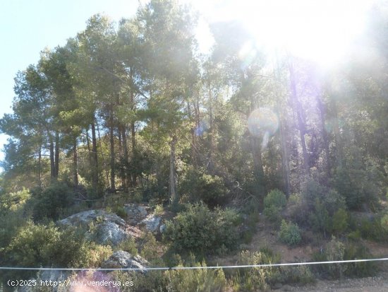 Finca en venta en Fuentespalda (Teruel)