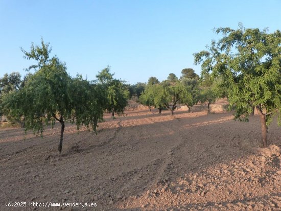 Finca en venta en Valjunquera (Teruel)