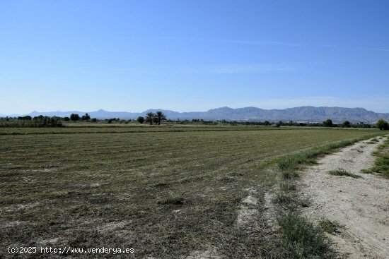 Solar en venta en Catral (Alicante)