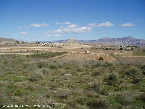 Parcela en venta en La Romana (Alicante)