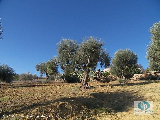 Finca en venta en Alhaurín de la Torre (Málaga)