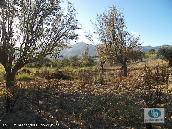 Finca en venta en Alhaurín de la Torre (Málaga)