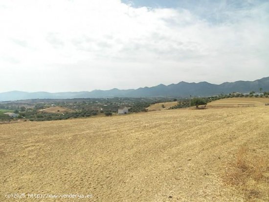 Finca en venta en Alhaurín de la Torre (Málaga)