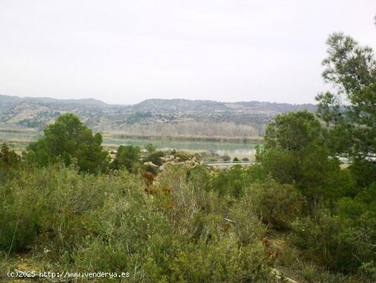  Finca en venta en Riba-roja d Ebre (Tarragona) 