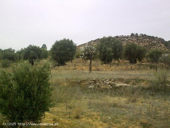 Finca en venta en Riba-roja d Ebre (Tarragona)