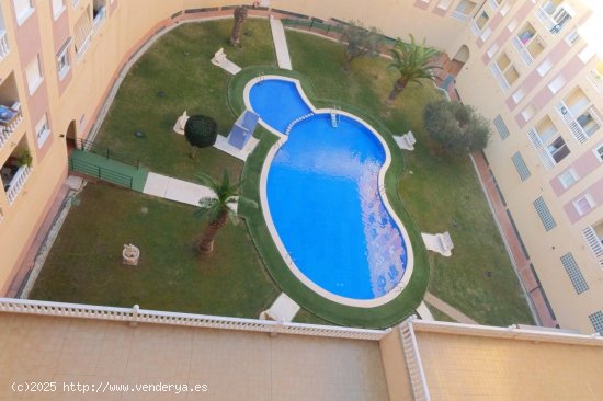 Apartamento en venta en Torrevieja (Alicante)