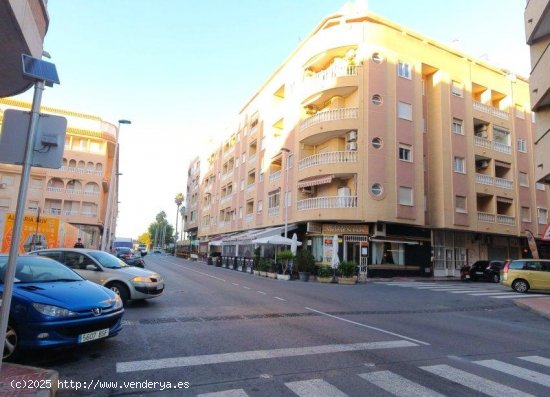 Apartamento en venta en Torrevieja (Alicante)