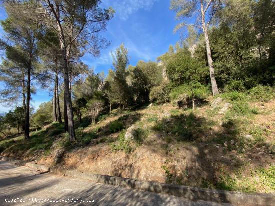 Venta de Terreno en plena naturaleza en Corbera de LLobregat! - BARCELONA