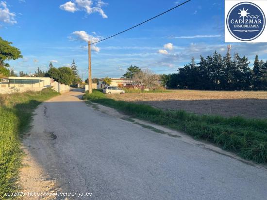 PARCELA SEGREGADA EN SUELO RUSTICO - CADIZ