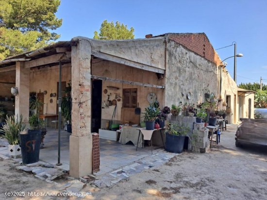  Casa de Campo en Elche Pedanias - Partida Altabix 