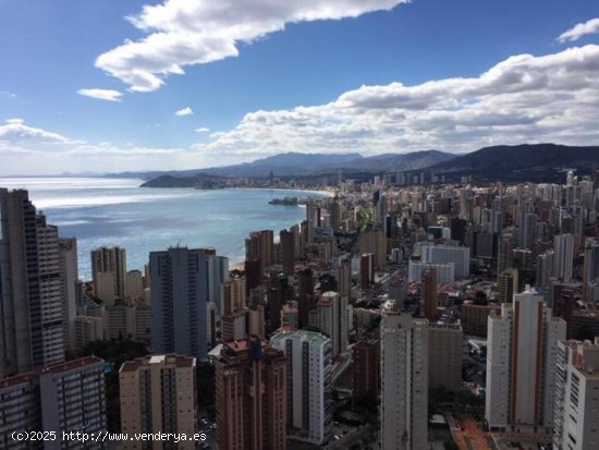 Piso en Alquiler en Benidorm Alicante