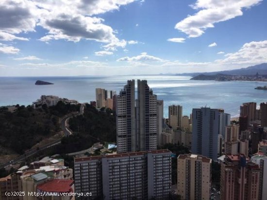 Piso en Alquiler en Benidorm Alicante