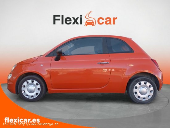 Fiat 500 Cult 1.0 Hybrid 51KW (70 CV) - Lugo