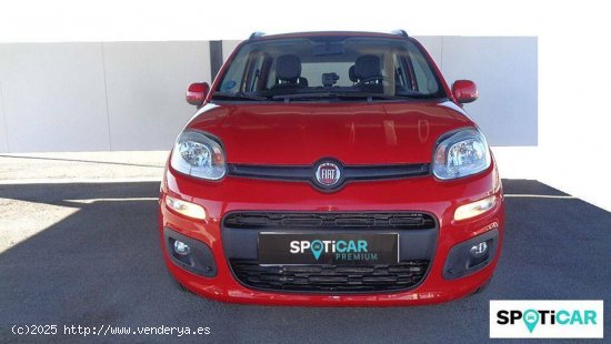 Fiat Panda  1.2  51kW (69CV) Gasolina/GLP Lounge - Cordoba