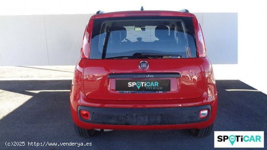 Fiat Panda  1.2  51kW (69CV) Gasolina/GLP Lounge - Cordoba