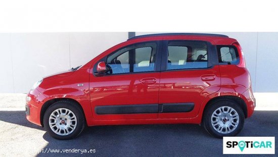 Fiat Panda  1.2  51kW (69CV) Gasolina/GLP Lounge - Cordoba