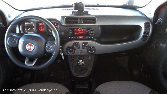 Fiat Panda  1.2  51kW (69CV) Gasolina/GLP Lounge - Cordoba