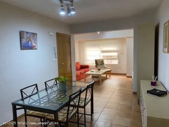 ALQUILER APARTAMENTO  CENTRICO ZONA UNIVERSIDAD,  DORMITORIO, TODO REFORMADO - MURCIA