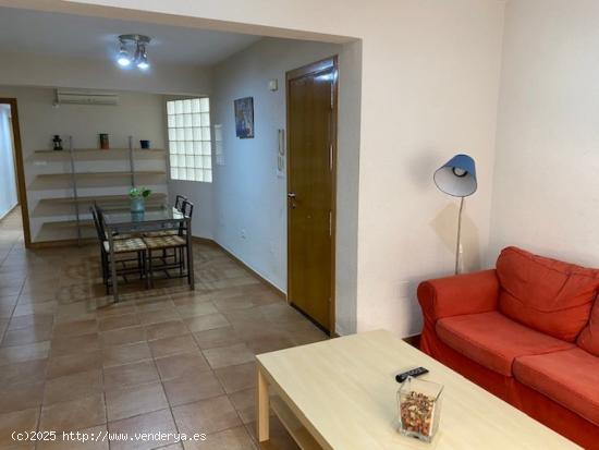 ALQUILER APARTAMENTO  CENTRICO ZONA UNIVERSIDAD,  DORMITORIO, TODO REFORMADO - MURCIA