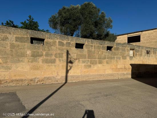 Solar urbanizable en Ariany - BALEARES