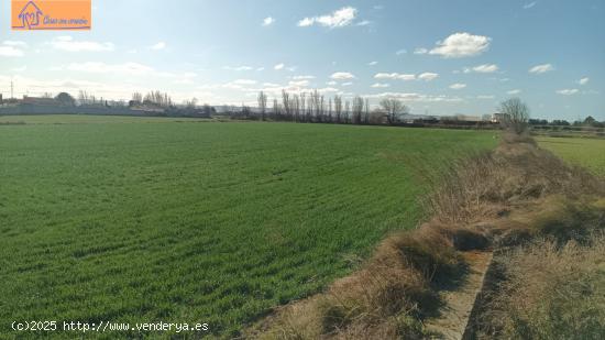  TERRENO PINSEQUE - ZARAGOZA 