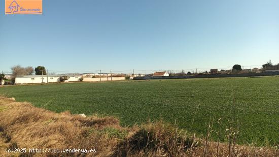 TERRENO PINSEQUE - ZARAGOZA