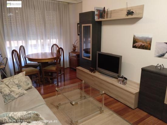  APARTAMENTO AMUEBLADO 2 DORM. CENTRICO - LEON 