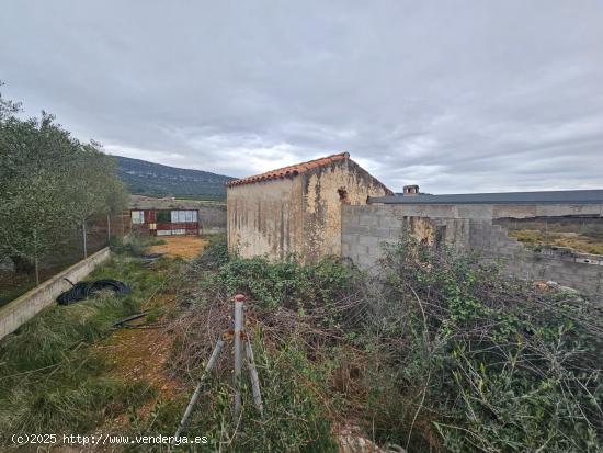  FINCA DE 5 HA EN FREGINALS CON CASA - TARRAGONA 