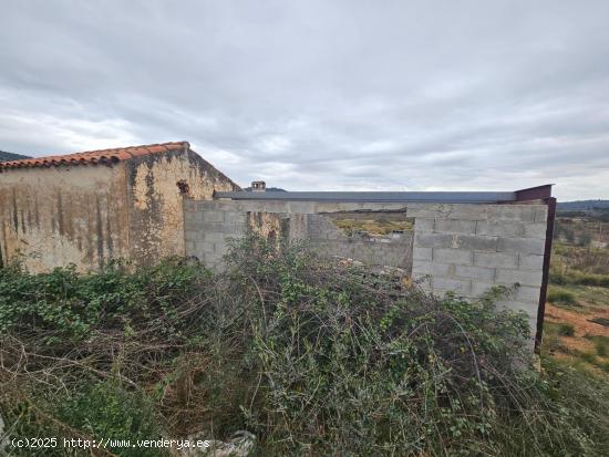 FINCA DE 5 HA EN FREGINALS CON CASA - TARRAGONA