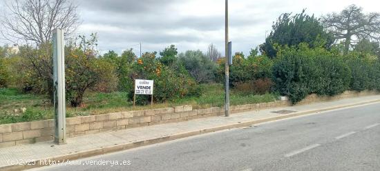 Se vende parcela en la pedanía de la Raya - MURCIA