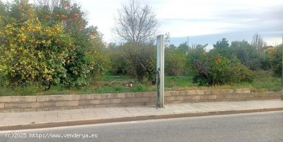 Se vende parcela en la pedanía de la Raya - MURCIA