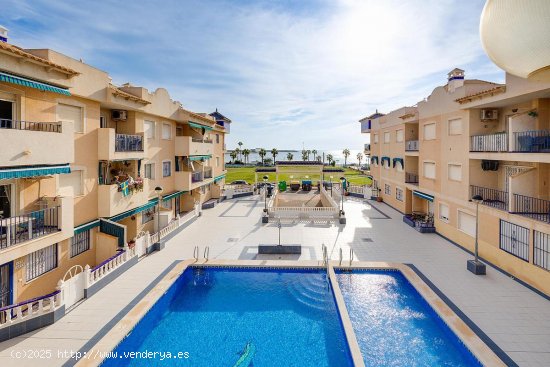  Apartamento en venta en Torrevieja (Alicante) 